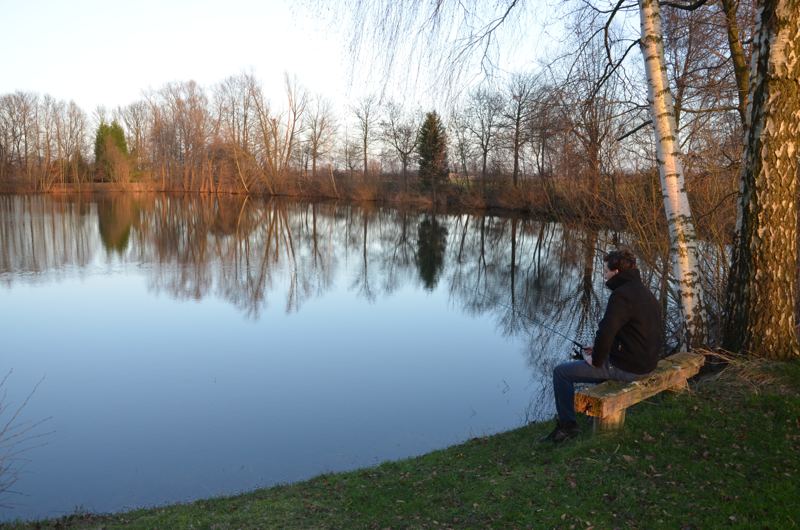Aan de vijver in het vroege voorjaar