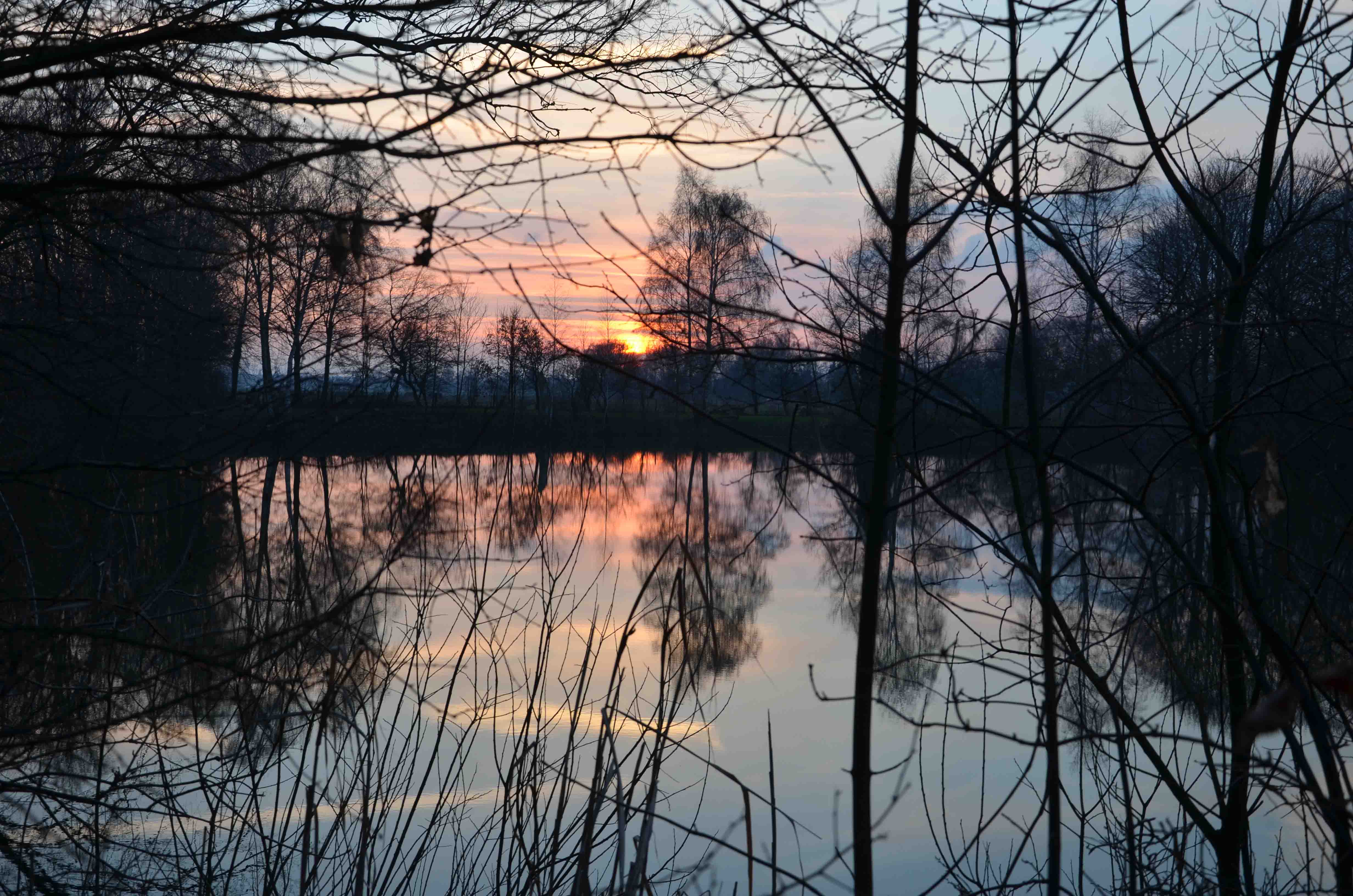 Vijver zonsondergang